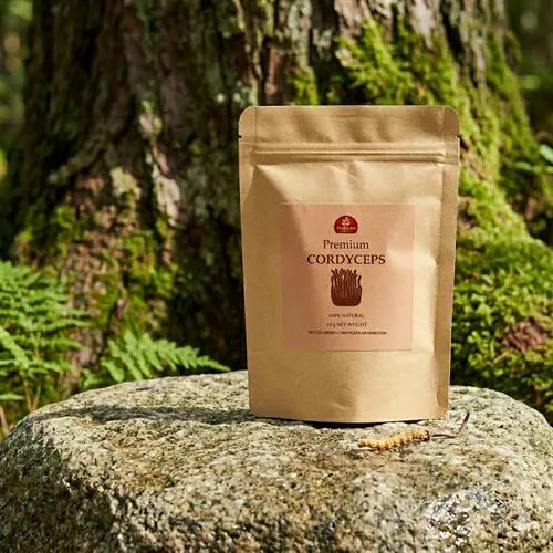 Nấm Đông Trùng Hạ Thảo Cao Cấp Thiên Ân