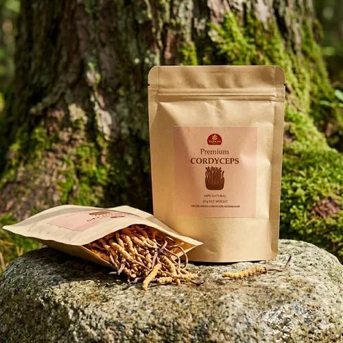 Nấm Đông Trùng Hạ Thảo Cao Cấp Thiên Ân