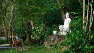 Nghệ thuật an trú trong hiện tại theo kinh Nhất dạ hiền giả