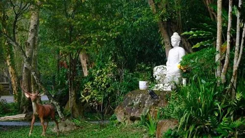 Nghệ thuật an trú trong hiện tại theo kinh Nhất dạ hiền giả